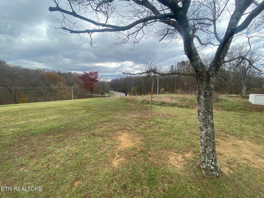 Photo of 9202 Old Maynardville Pike, Maynardville, TN 37807 (MLS # 1283308)