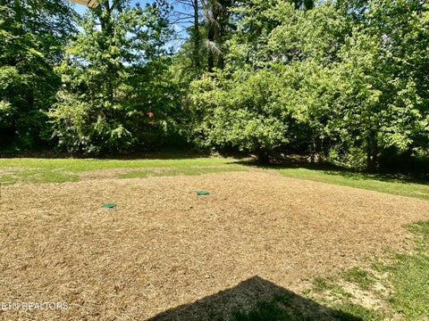 Tiny photo for 117 Coon Hunters Rd, Wartburg, TN 37887 (MLS # 1340763)
