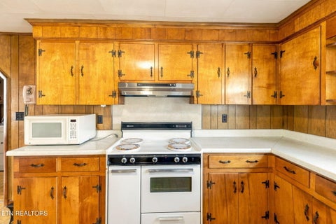 Tiny photo for 130 Walnut Lane, Rutledge, TN 37861 (MLS # 1360376)