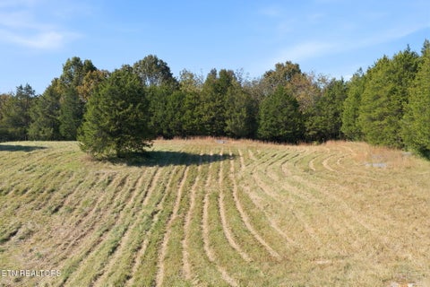 Tiny photo for 130 Walnut Lane, Rutledge, TN 37861 (MLS # 1360376)