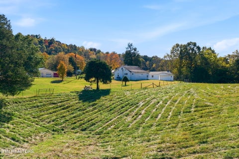 Tiny photo for 130 Walnut Lane, Rutledge, TN 37861 (MLS # 1360376)