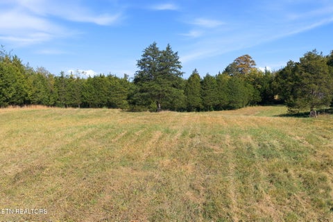 Tiny photo for 130 Walnut Lane, Rutledge, TN 37861 (MLS # 1360376)