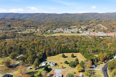 Tiny photo for 130 Walnut Lane, Rutledge, TN 37861 (MLS # 1360376)