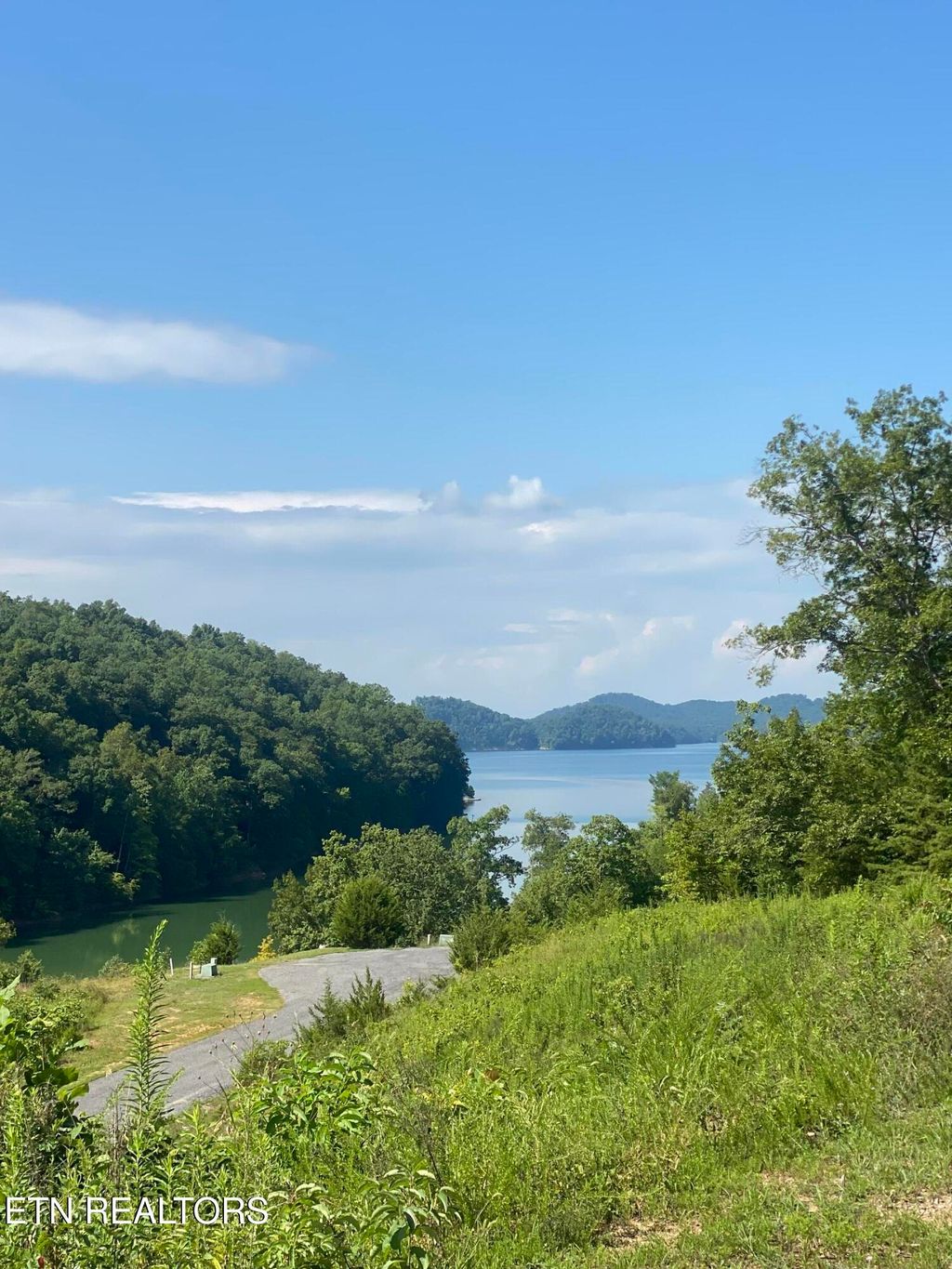 Photo of 10 Stone Cove Way, Dandridge, TN 37725 (MLS # 1333590)