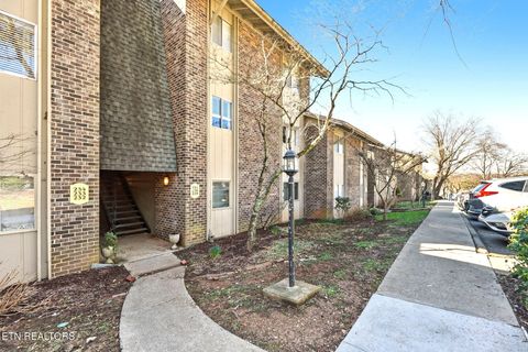 Photo of 3636 Taliluna Ave #230, Knoxville, TN 37919 (MLS # 1330438)
