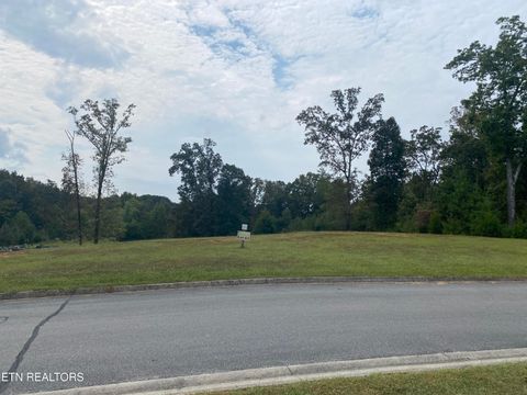 Tiny photo for Lake Harbor Drive, Spring City, TN 37381 (MLS # 1316213)