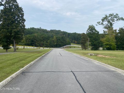 Tiny photo for Lake Harbor Drive, Spring City, TN 37381 (MLS # 1316213)