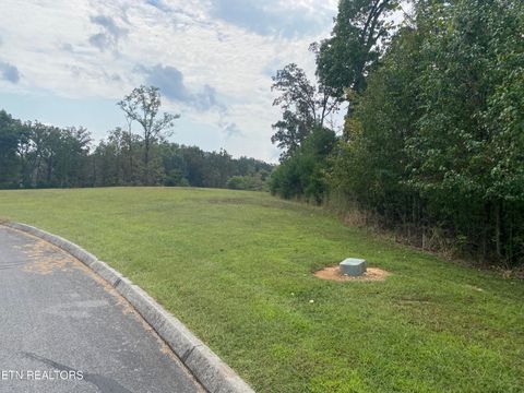 Tiny photo for Lake Harbor Drive, Spring City, TN 37381 (MLS # 1316213)