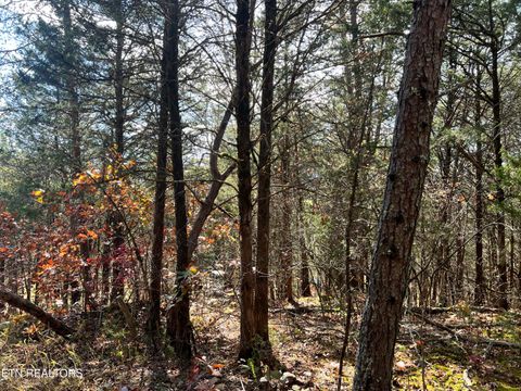 Tiny photo for 2 110 Rankin Hill Rd Rd, Newport, TN 37821 (MLS # 1322920)