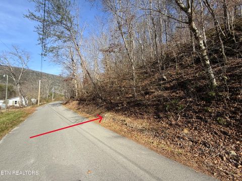 Tiny photo for 597 Avondale Hollow Rd, Rutledge, TN 37861 (MLS # 1326294)