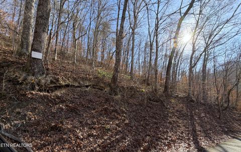 Tiny photo for 597 Avondale Hollow Rd, Rutledge, TN 37861 (MLS # 1326294)