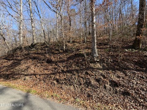Tiny photo for 597 Avondale Hollow Rd, Rutledge, TN 37861 (MLS # 1326294)