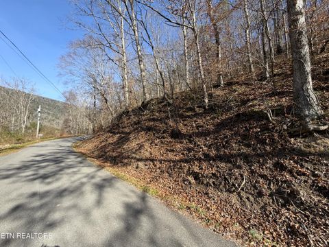 Tiny photo for 597 Avondale Hollow Rd, Rutledge, TN 37861 (MLS # 1326294)