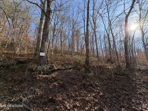 Photo of 597 Avondale Hollow Rd, Rutledge, TN 37861 (MLS # 1326294)