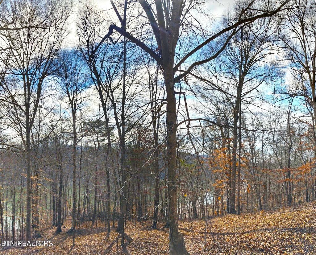 Photo of Mountain Shores Lot 48 Rd, New Tazewell, TN 37825 (MLS # 1263463)