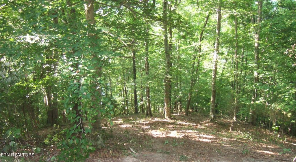 Photo of Mountain Shores Lot 48 Rd, New Tazewell, TN 37825 (MLS # 1263463)