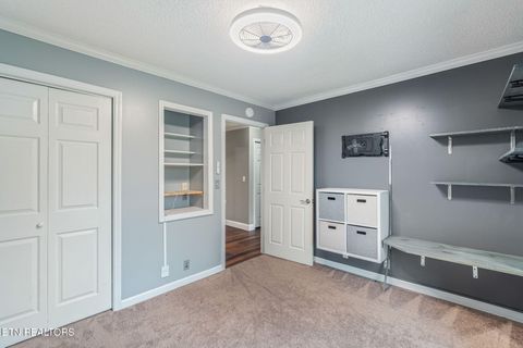 Tiny photo for 124 Abby Lane, Jacksboro, TN 37757 (MLS # 1335002)