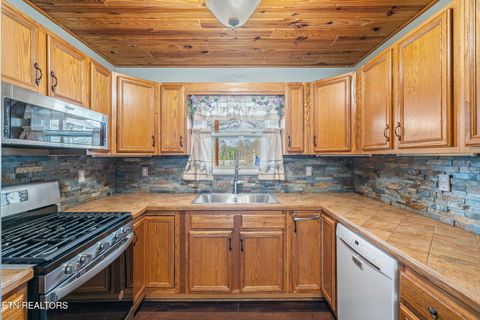 Tiny photo for 124 Abby Lane, Jacksboro, TN 37757 (MLS # 1335002)