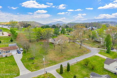 Tiny photo for 124 Abby Lane, Jacksboro, TN 37757 (MLS # 1335002)