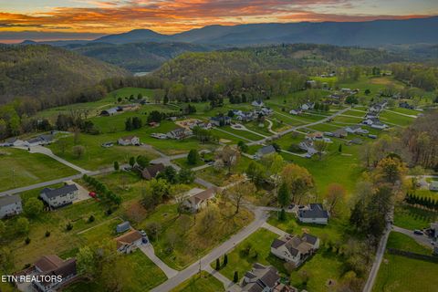 Tiny photo for 124 Abby Lane, Jacksboro, TN 37757 (MLS # 1335002)