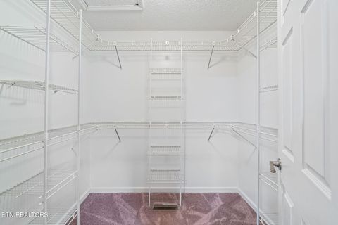 Tiny photo for 124 Abby Lane, Jacksboro, TN 37757 (MLS # 1335002)