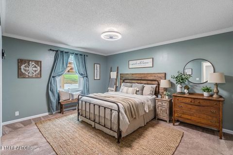 Tiny photo for 124 Abby Lane, Jacksboro, TN 37757 (MLS # 1335002)