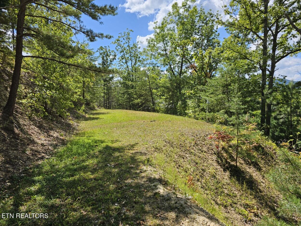 Lot 9-A Village Circle