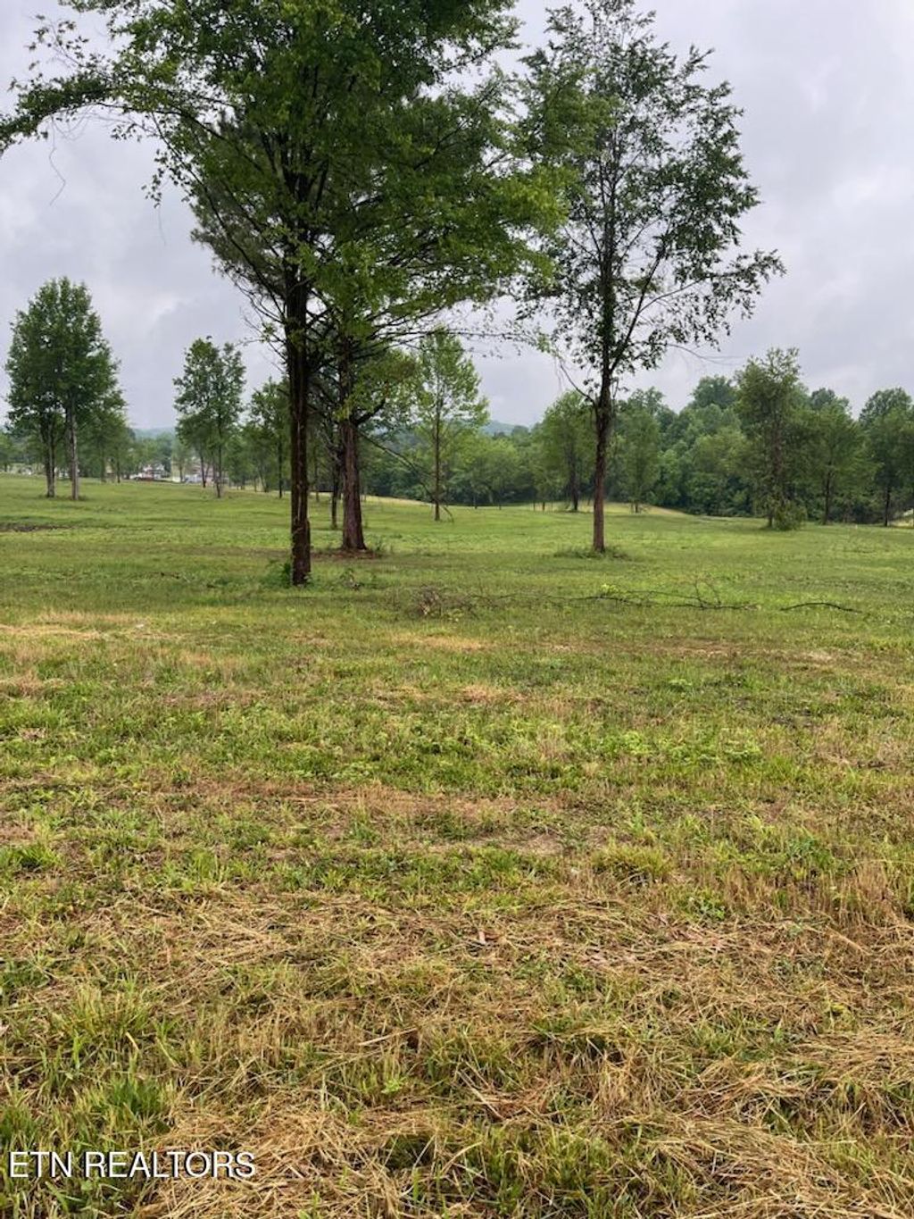 Photo of Stone Mill Lot 3 Rd, Jacksboro, TN 37757 (MLS # 1342526)