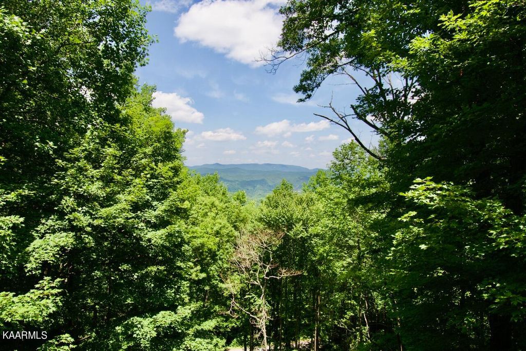 Photo of 1241 Old Cades Cove Rd, Townsend, TN 37882 (MLS # 1230292)