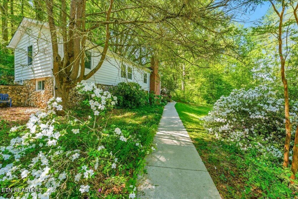 Photo of 8773 White Wing Rd, Lenoir City, TN 37771 (MLS # 1340642)