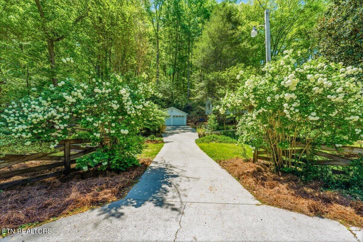 8773 White Wing Rd