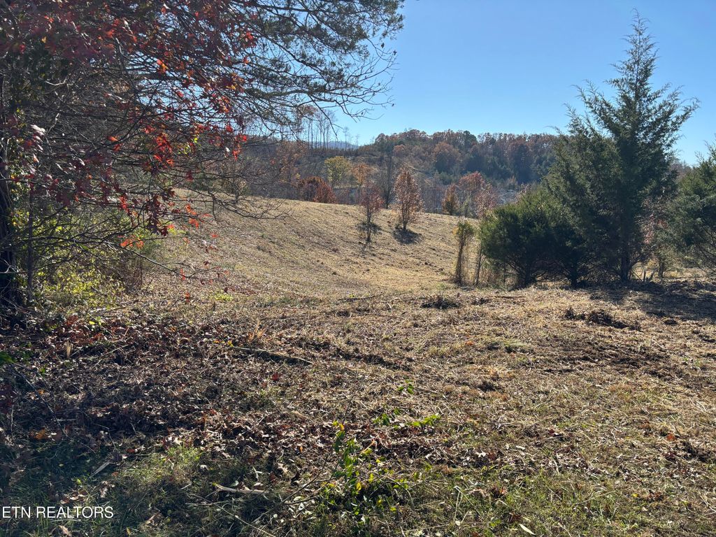 Photo of 41 Dickey School Rd, Dandridge, TN 37725 (MLS # 1338190)