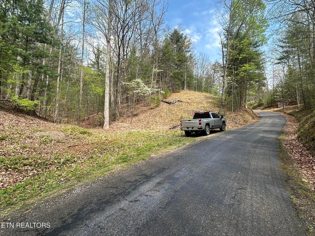 Photo of Mt Pleasant Rd, Vonore, TN 37885 (MLS # 1318303)