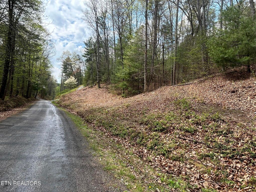 Photo of Mt Pleasant Rd, Vonore, TN 37885 (MLS # 1318303)