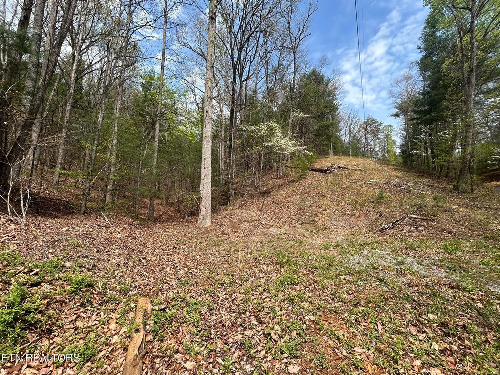 Photo of Mt Pleasant Rd, Vonore, TN 37885 (MLS # 1318303)