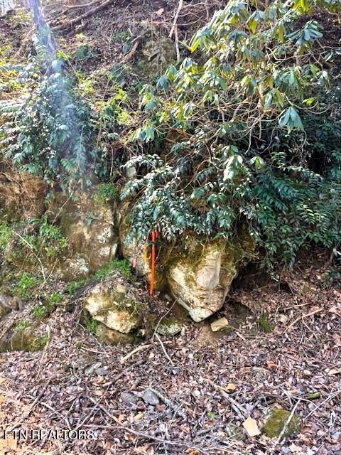 Tiny photo for 768 Ellis Creek Rd, Reliance, TN 37369 (MLS # 1333649)