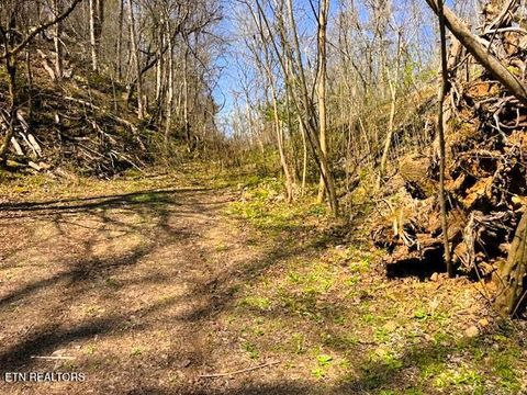 Tiny photo for 768 Ellis Creek Rd, Reliance, TN 37369 (MLS # 1333649)