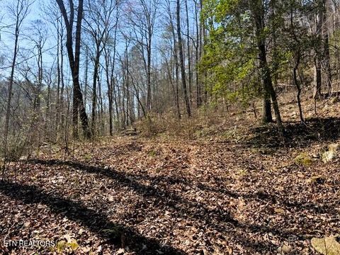 Tiny photo for 768 Ellis Creek Rd, Reliance, TN 37369 (MLS # 1333649)