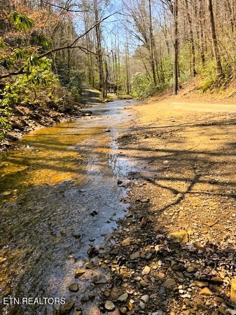 Tiny photo for 768 Ellis Creek Rd, Reliance, TN 37369 (MLS # 1333649)