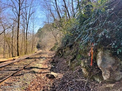 Tiny photo for 768 Ellis Creek Rd, Reliance, TN 37369 (MLS # 1333649)