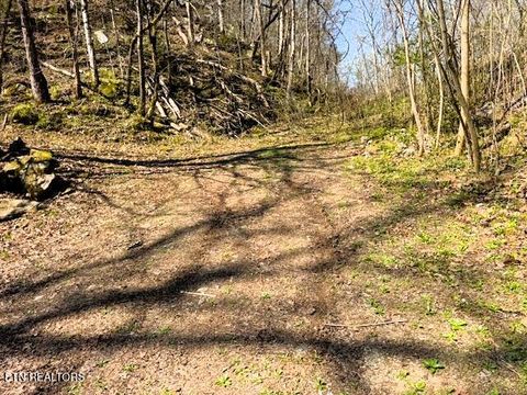 Tiny photo for 768 Ellis Creek Rd, Reliance, TN 37369 (MLS # 1333649)