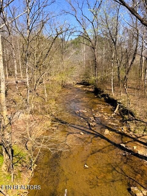 Tiny photo for 768 Ellis Creek Rd, Reliance, TN 37369 (MLS # 1333649)