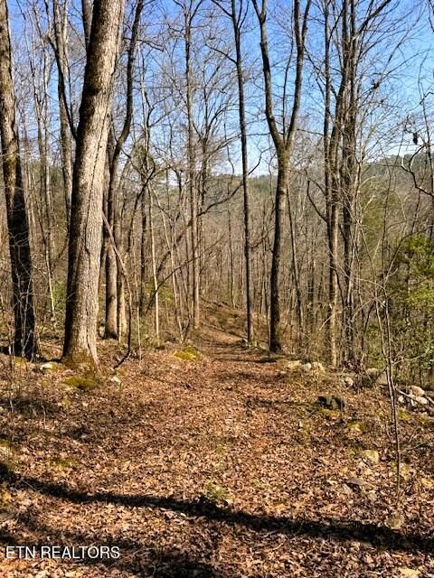 Tiny photo for 768 Ellis Creek Rd, Reliance, TN 37369 (MLS # 1333649)