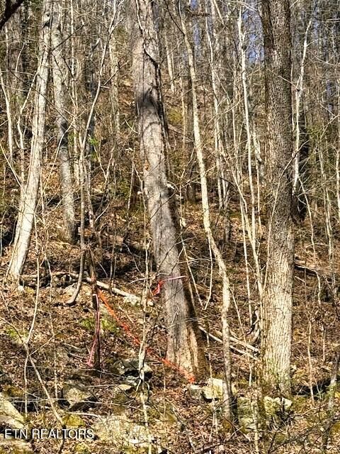 Tiny photo for 768 Ellis Creek Rd, Reliance, TN 37369 (MLS # 1333649)