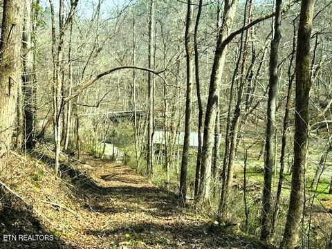 Tiny photo for 768 Ellis Creek Rd, Reliance, TN 37369 (MLS # 1333649)