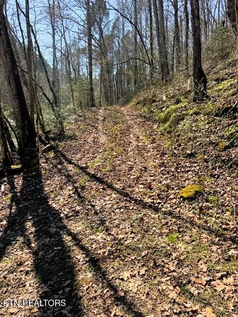 Tiny photo for 768 Ellis Creek Rd, Reliance, TN 37369 (MLS # 1333649)