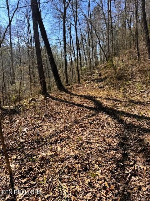 Tiny photo for 768 Ellis Creek Rd, Reliance, TN 37369 (MLS # 1333649)