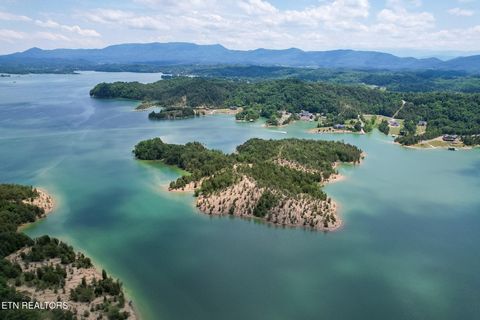 Photo of 0 Douglas Lake Is, Sevierville, TN 37876 (MLS # 1342711)