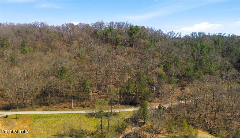 Photo of 278 Blackburn Lane, Lenoir City, TN 37771 (MLS # 1336634)