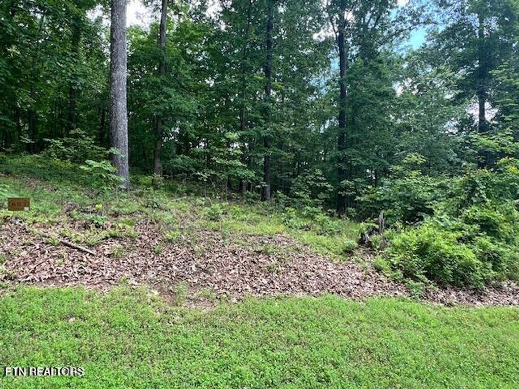 Photo of 506 Grande Vista Drive, Rockwood, TN 37854 (MLS # 1306928)